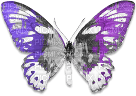 soave deco butterfly black white purple - 免费PNG