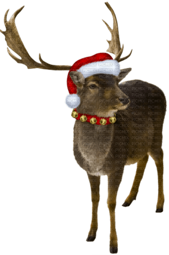 Reindeer.Brown.White.Red.Gold - zadarmo png