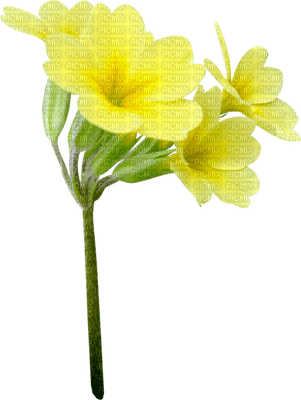 Kaz_Creations Deco Flowers Colours - ingyenes png