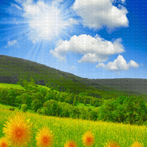 Y.A.M._Landscape background summer - бесплатно png