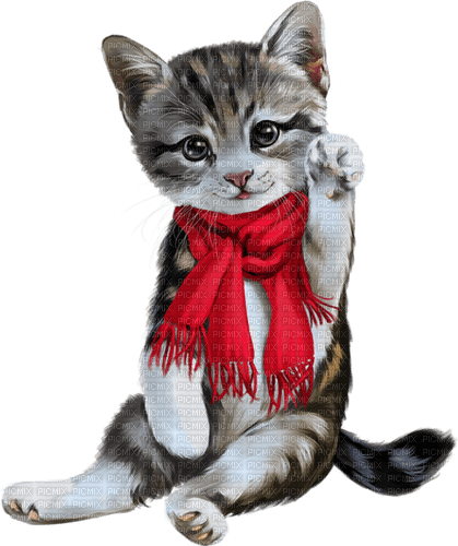 winter cat by nataliplus - zdarma png
