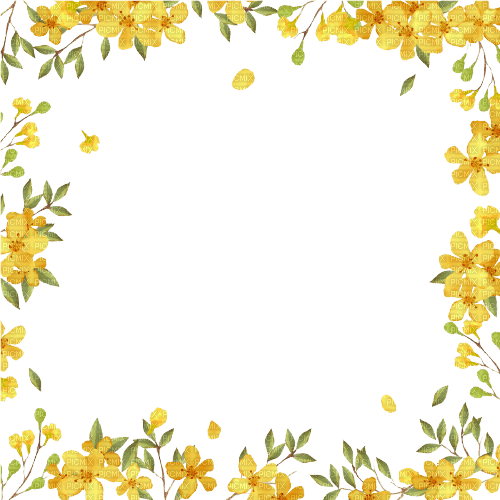 flowers frame - Free PNG