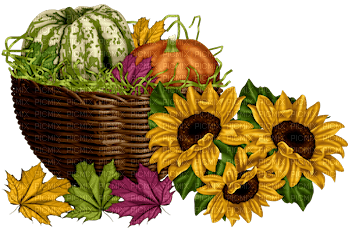 Herbst automne autumn basket sunflower - фрее пнг