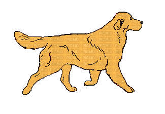 Dog - 無料のアニメーション GIF