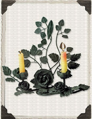 Roses and Candles - zadarmo png