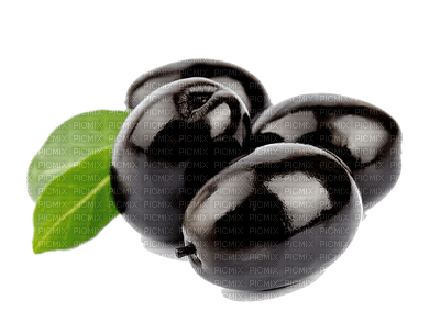 olives bp - nemokama png