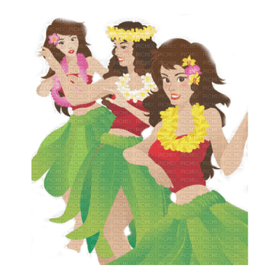 hawaii táncosnők - zdarma png