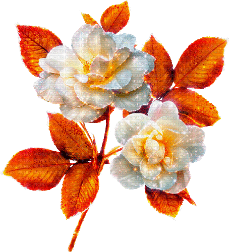 autumn rose by nataliplus - GIF animé gratuit