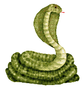 serpent - Gratis animeret GIF
