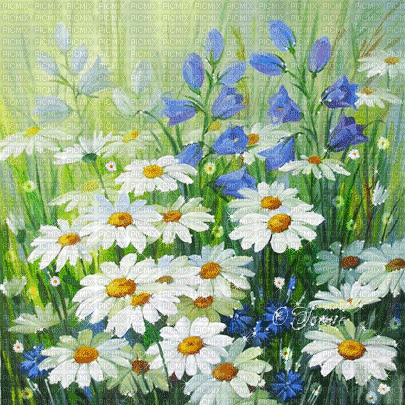 soave background animated flowers daisy field - Free animated GIF
