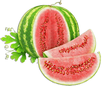 soave deco  fruit summer  watermelon red green - png grátis