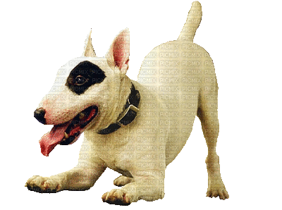 Kaz_Creations Animated Dog Pup Dogs - Gratis animerad GIF
