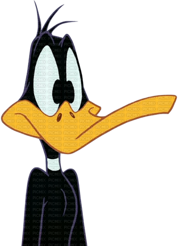 daffy duck - Free PNG
