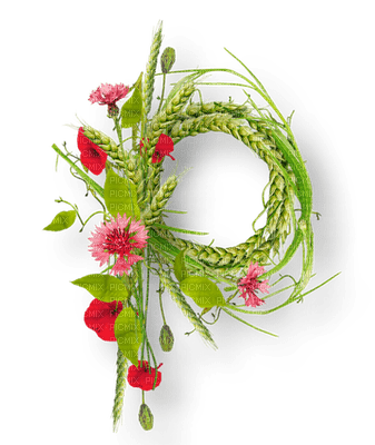 Kaz_Creations Deco Flowers Frames Frame Circle  Colours - png gratuito