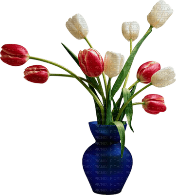 Kaz_Creations Deco Flower Flowers Colours Vase - PNG gratuit