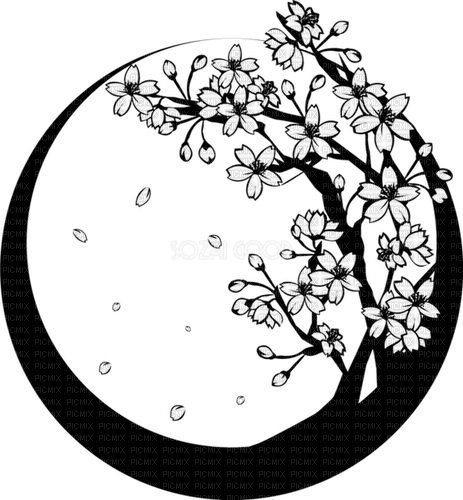 Floral design Stencil, Adam64 - PNG gratuit