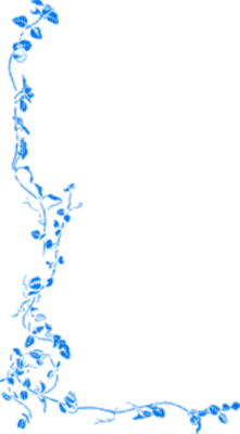 blue border - png grátis