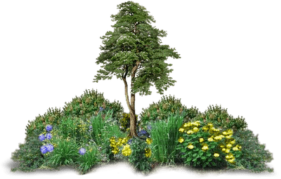 Garden - png gratis