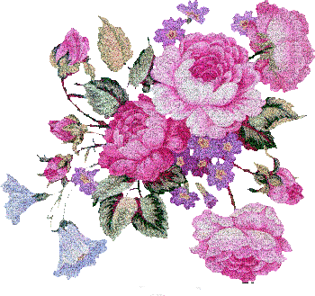 MMarcia gif  daisy flowers flores margarida - GIF animado grátis