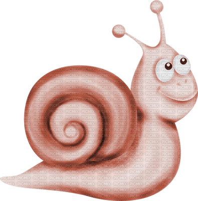 Kaz_Creations Snails Snail - gratis png