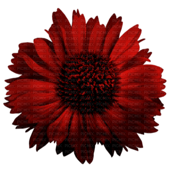 Fleur - 免费PNG