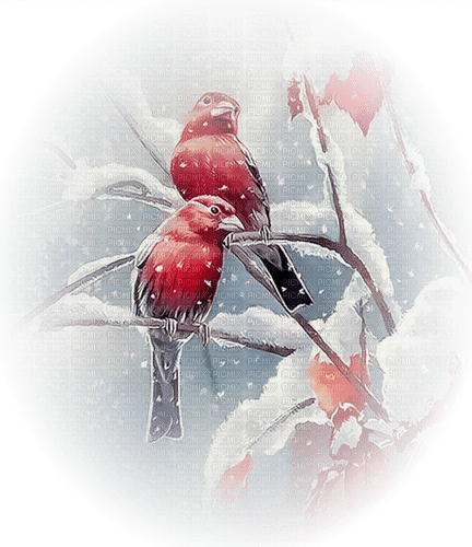 winter bird by nataliplus - Free PNG
