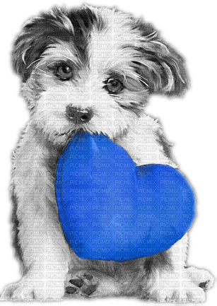soave valentine deco animals dog heart - Free PNG
