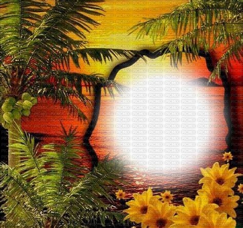 loly33 frame coucher de soleil - darmowe png