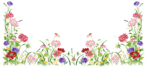 kikkapink border frame flowers summer spring - безплатен png