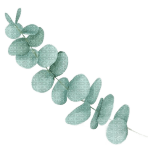 eucalyptus watercolor Bb2 - фрее пнг
