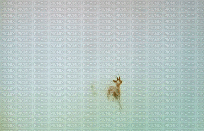 deer - 無料のアニメーション GIF