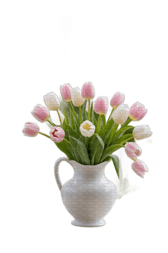 Tulpen - gratis png