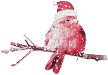 soave deco bird branch christmas winter pink - PNG gratuit
