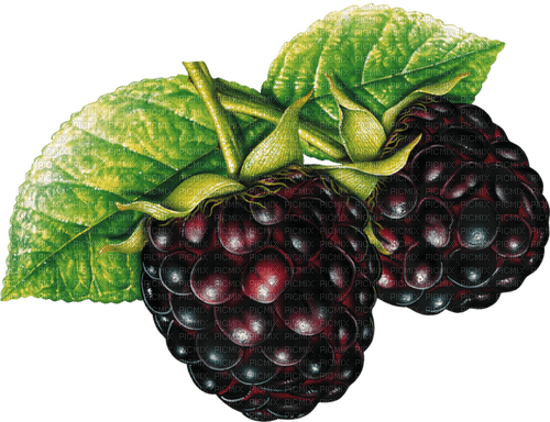blackberry Bb2 - 無料png