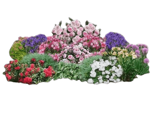 kwiaty - png grátis