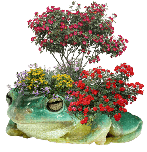 FLOWER FROGGY - png grátis