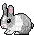 bunny hop - GIF animate gratis
