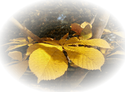 Kaz_Creations Paysage Scenery Autumn - бесплатно png