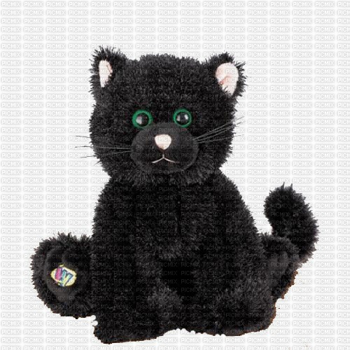 Webkinz Black Cat Plush - Free PNG