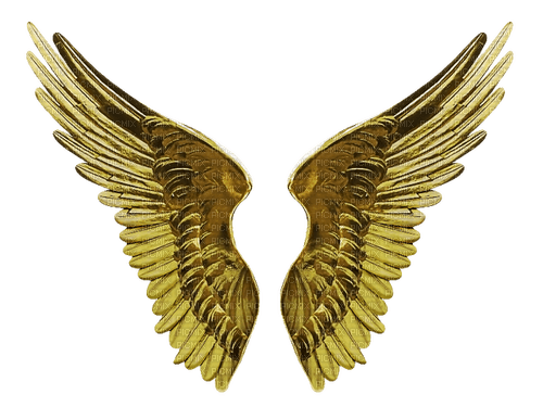 Golden Wings - ilmainen png