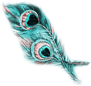 soave deco peacock feathers blue yellow pink teal - kostenlos png