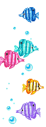 Colorful Fish - Gratis animerad GIF