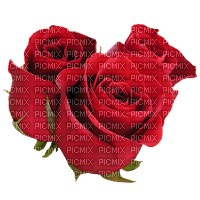 rose rouge - bezmaksas png