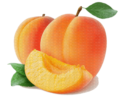 apricot Bb2 - png ฟรี