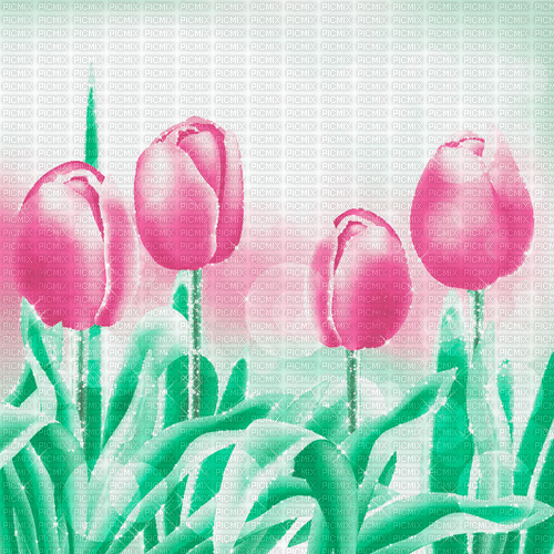 green pink tulpen milla1959 - GIF เคลื่อนไหวฟรี
