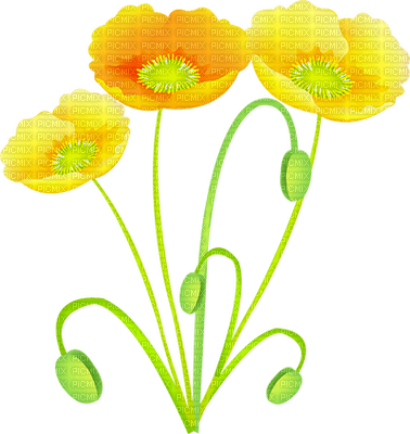 yellow flower - bezmaksas png