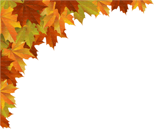 fall - 免费PNG