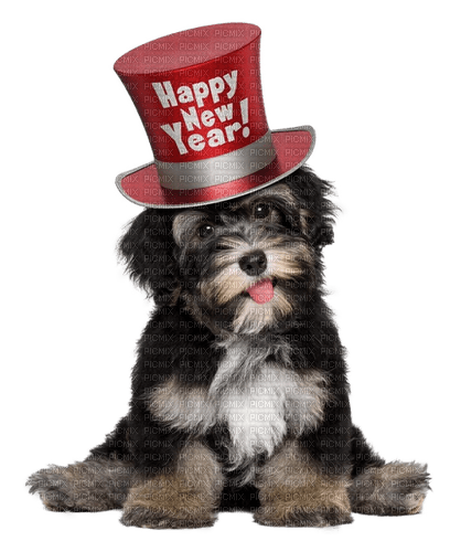 Happy New Year.Dog.Chien.Victoriabea - png gratuito