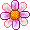 Flower - Δωρεάν κινούμενο GIF
