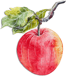 soave deco branch fruit apple red green - png gratis
